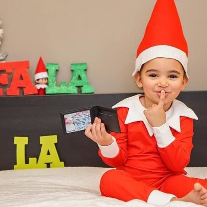 Santa’s sleigh license (free shipping)