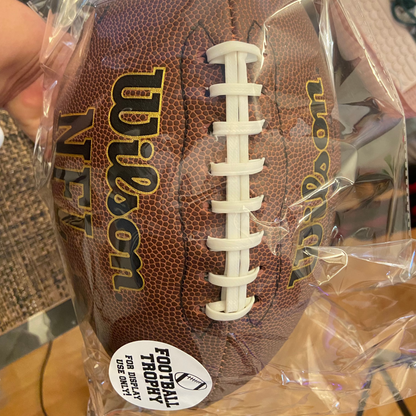 Personalized Embroidered Football